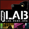 WGBH Lab Logo