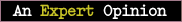 An Expert Opinion