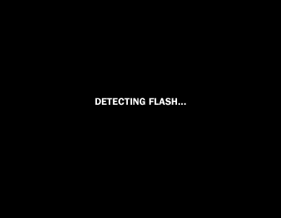Detecting Flash....